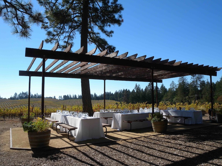 Bancroft Vineyard Picnic Area